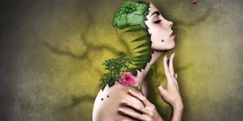 ecologia-domestica
