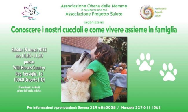 FB_IMG_1646853972504