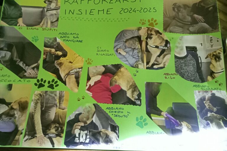 cartellone 2025 no visi