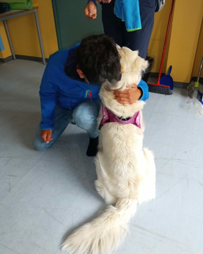 foto cuori blu 2024 no viso (3)